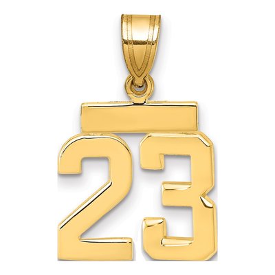 14K Yellow Gold Small Number 23 Charm