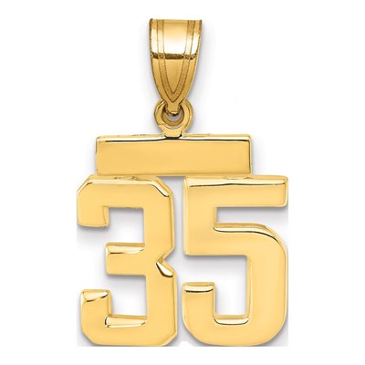 14K Yellow Gold Small Number 35 Charm