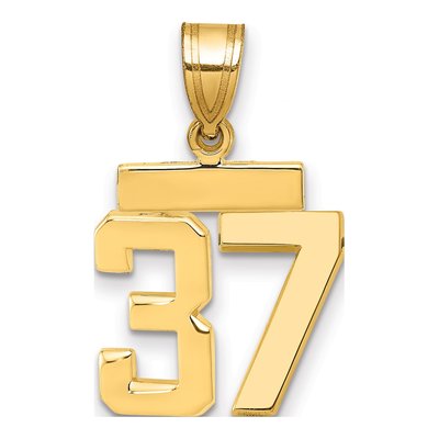 14K Yellow Gold Number 37 Charm