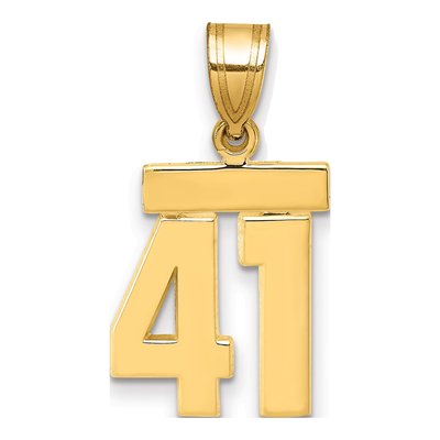 14K Yellow Gold Number 41 Charm