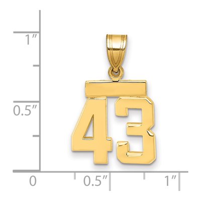 14K Yellow Gold Small Number 43 Charm – view 2