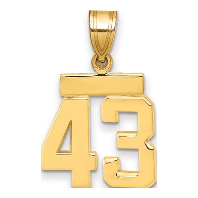14K Yellow Gold Small Number 43 Charm