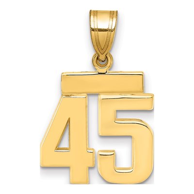 14K Yellow Gold Number 45 Charm