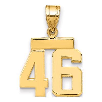 14K Yellow Gold Small Number 46 Charm