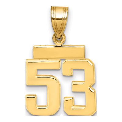 14K Yellow Gold Number 53 Charm