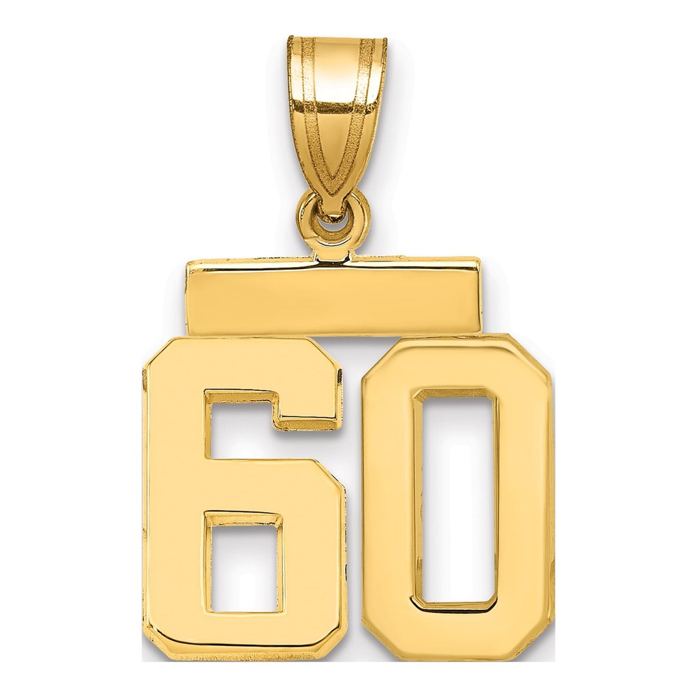 14K Yellow Gold Number 60 Charm