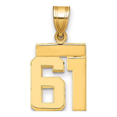 14K Yellow Gold Small Number 61 Charm