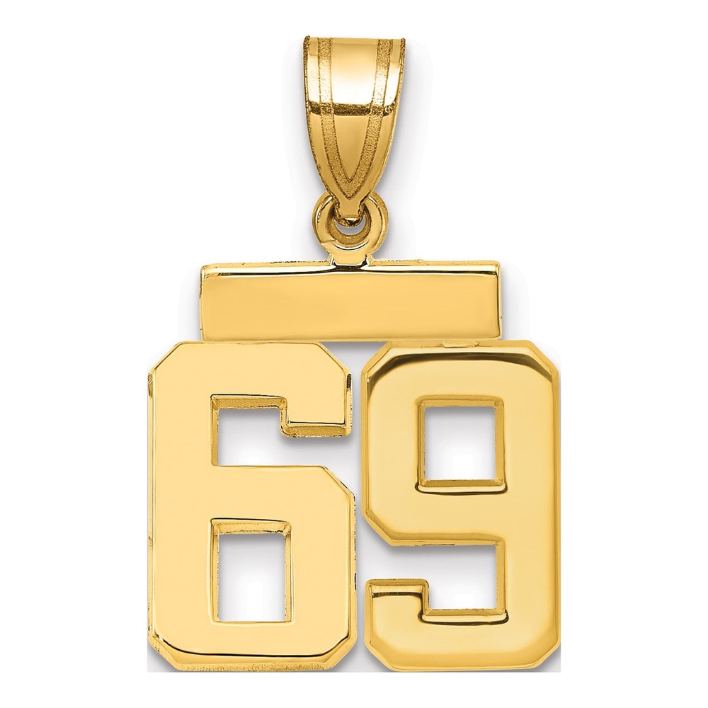 14K Yellow Gold Small Number 69 Charm Pendant