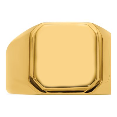 Men's Stainless Steel IP Signet Ring – view 6