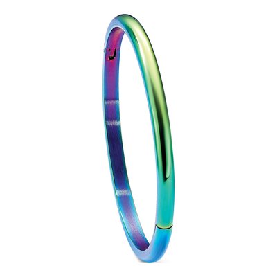 Stainless Steel Rainbow IP Hinged Bangle Bracelet – view 6