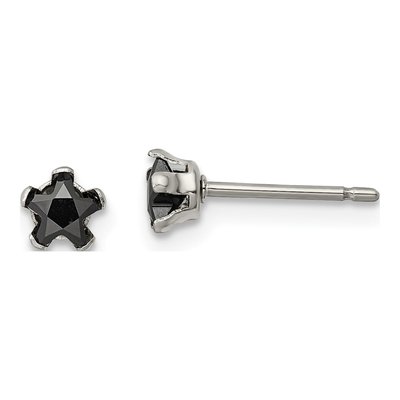Stainless Steel 4mm CZ Star Stud Earrings