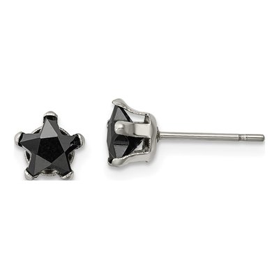 Stainless Steel 6mm CZ Star Stud Earrings