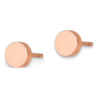 Stainless Steel IP Circle Stud Earrings – view 4