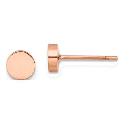 Stainless Steel IP Circle Stud Earrings