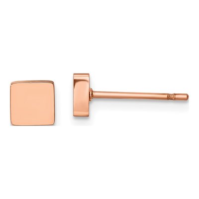 Stainless Steel IP Square Stud Earrings