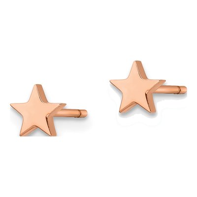 Stainless Steel Star Stud Earrings – view 4