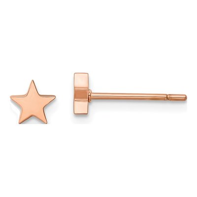 Stainless Steel Star Stud Earrings