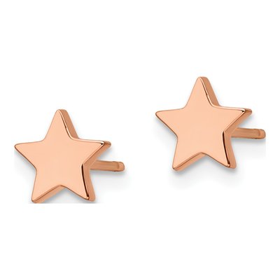 Stainless Steel IP Star Stud Earrings – view 4