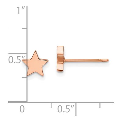 Stainless Steel IP Star Stud Earrings – view 5