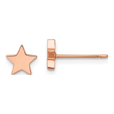Stainless Steel IP Star Stud Earrings