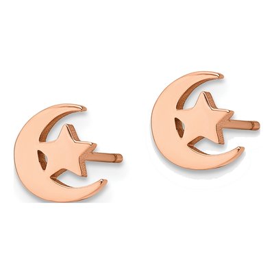 Stainless Steel IP Moon Star Stud Earrings – view 4