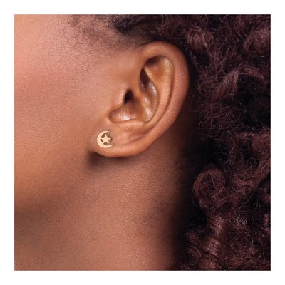 Stainless Steel IP Moon Star Stud Earrings – view 5