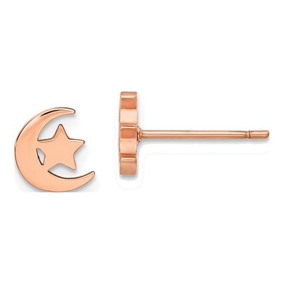 Stainless Steel IP Moon Star Stud Earrings
