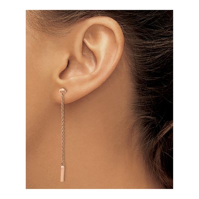 Stainless Steel IP Bar Dangle Earrings – view 4