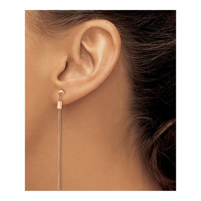 Stainless Steel IP Dangle Earrings – view 4