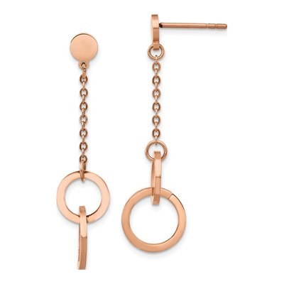 Stainless Steel IP Dangle Earrings