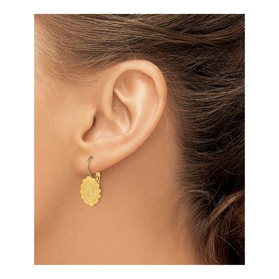 Stainless Steel Guadalupe Leverback Earrings – view 4