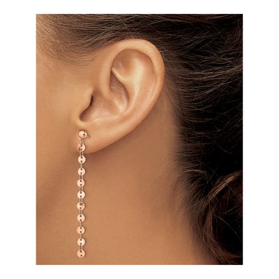 Stainless Steel IP Dangle Earrings – view 4