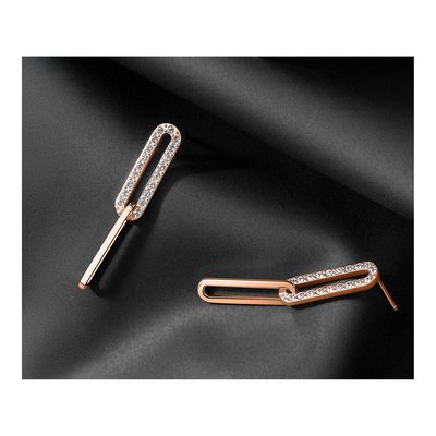 Stainless Steel Crystal Dangle Earrings – view 6
