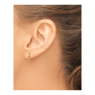 Stainless Steel 12mm IP Huggie Hoop Earrings – view 4