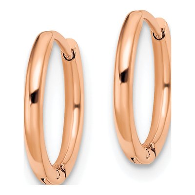 Stainless Steel 12mm IP Huggie Hoop Earrings – view 3
