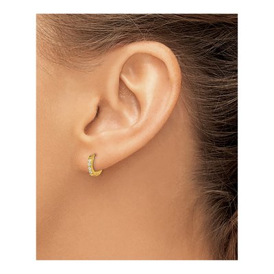 Stainless Steel 9.5mm Crystal IP Huggie Hoop Earrings – view 4