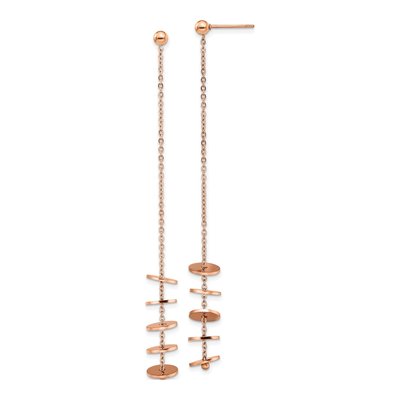 Stainless Steel IP Dangle Earrings