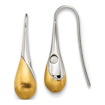 Stainless Steel IP Dangle Earrings