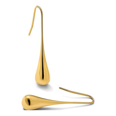 Stainless Steel IP Shepherd Hook Dangle Earrings – view 8