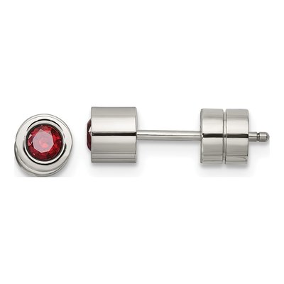 Stainless Steel CZ January Stud Earrings