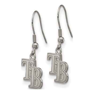 Tampa Bay Rays Stainless Steel Dangle Earrings – view 3