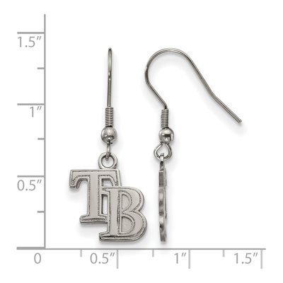 Tampa Bay Rays Stainless Steel Dangle Earrings – view 4