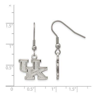 University of Kentucky Stainless Steel Dangle Earrings – view 2