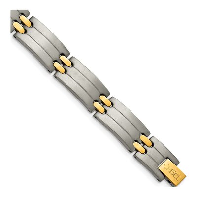 Titanium IP Bracelet