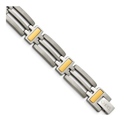 Titanium IP Bracelet
