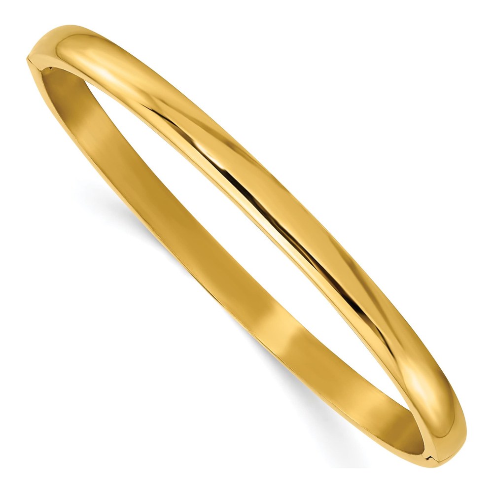 Titanium Hinged Bangle Bracelet