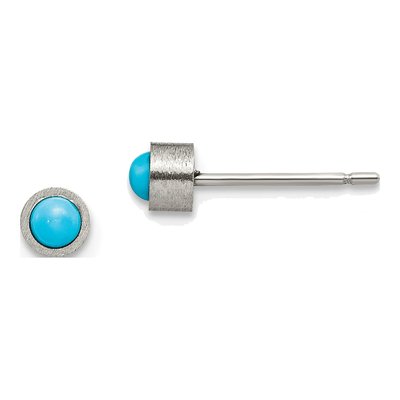 Titanium 4mm Round Turquoise Stud Earrings