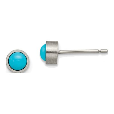 Titanium 5mm Round Turquoise Stud Earrings