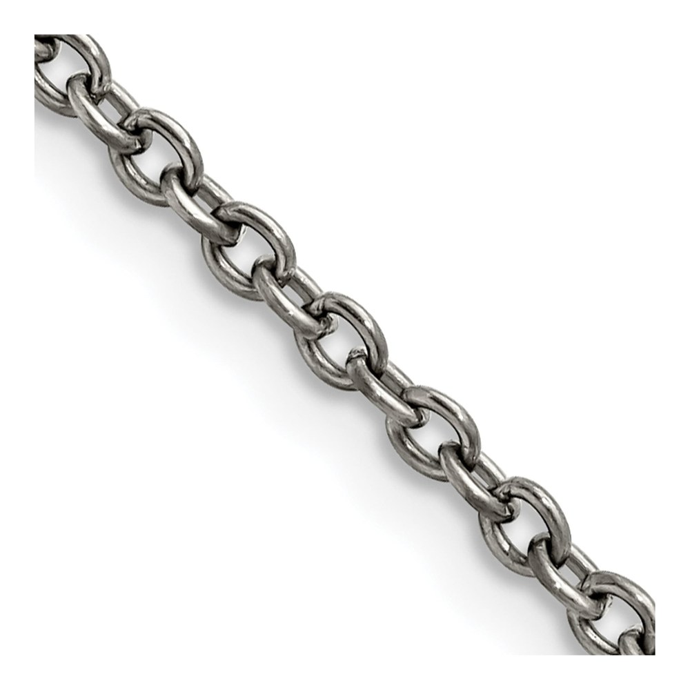 Titanium 2.9mm Cable Chain