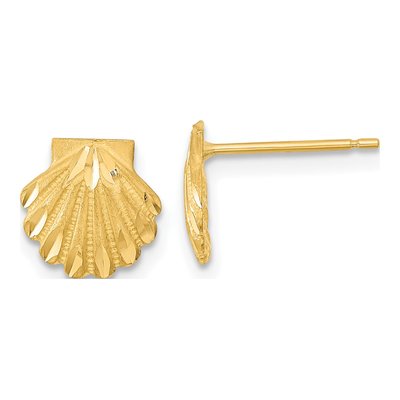 14K Yellow Gold Seashell Stud Earrings